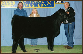 2008 Class Winner National Western