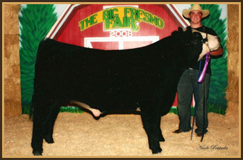 2008 Reserve Champion 4-H Fresno Fair