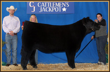 2011 Supreme Champion MJC Showmaster Classic