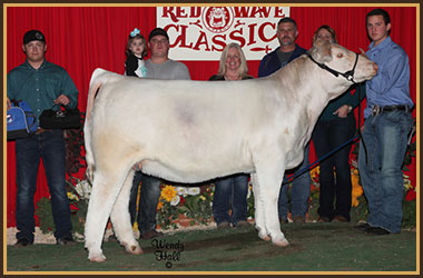 13 Grand Champion Female Red Wave Classic