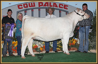 13 Grand Champion Female Red Wave Classic